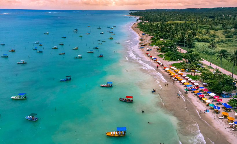 BRNT01024A_GALERIA_4g[1]