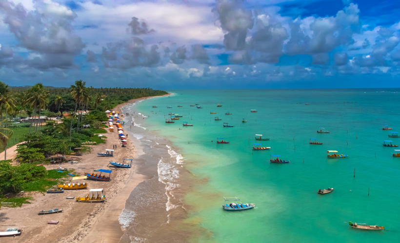 BRNT01024A_GALERIA_5g[1]