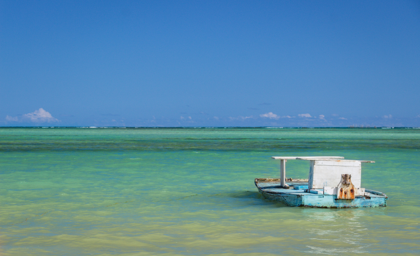 BRNT01024A_GALERIA_6g[1]