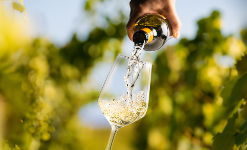 BRPC00224A_GALERIA_5g