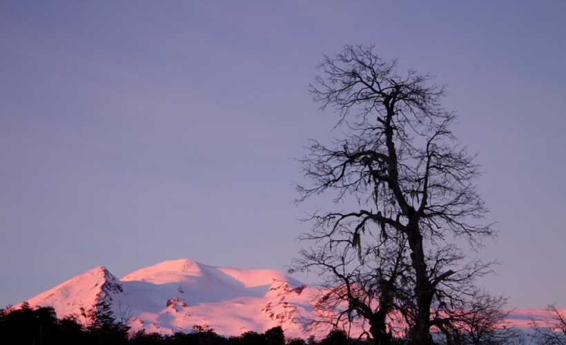 NEVE009_GALERIA_2g