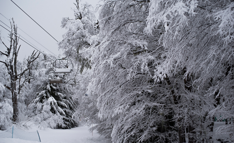 NEVE009_GALERIA_6g