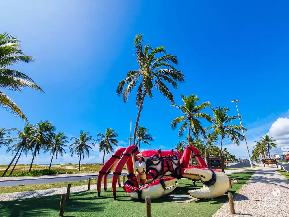 aracaju4